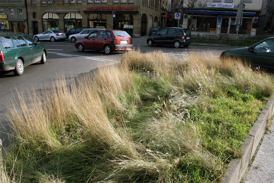 back: In the city: Ovalabout