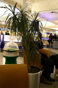 Click to enlarge: At the Airport: Humans and the Fauna I
