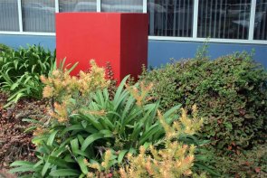 Click to enlarge: In the City: Fauna & Flora